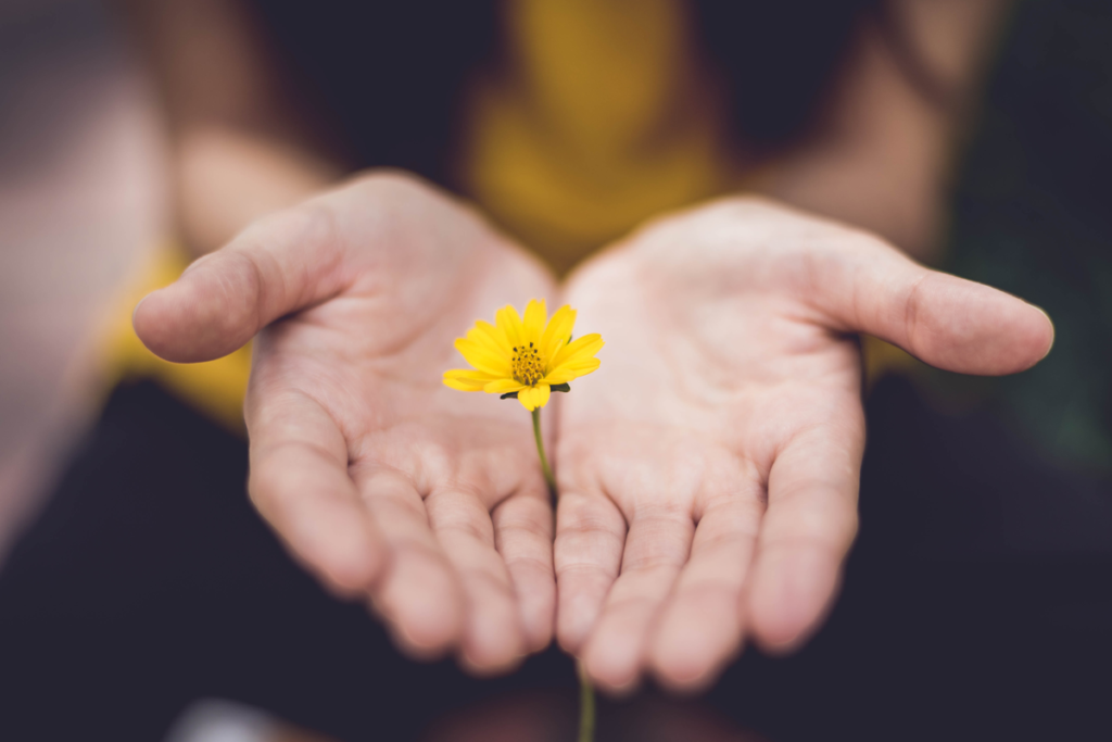 A flower rises between a person's outstretched palms