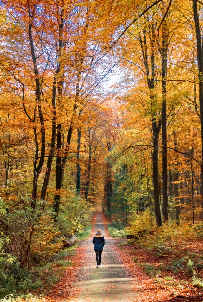 Woman walking down golden path