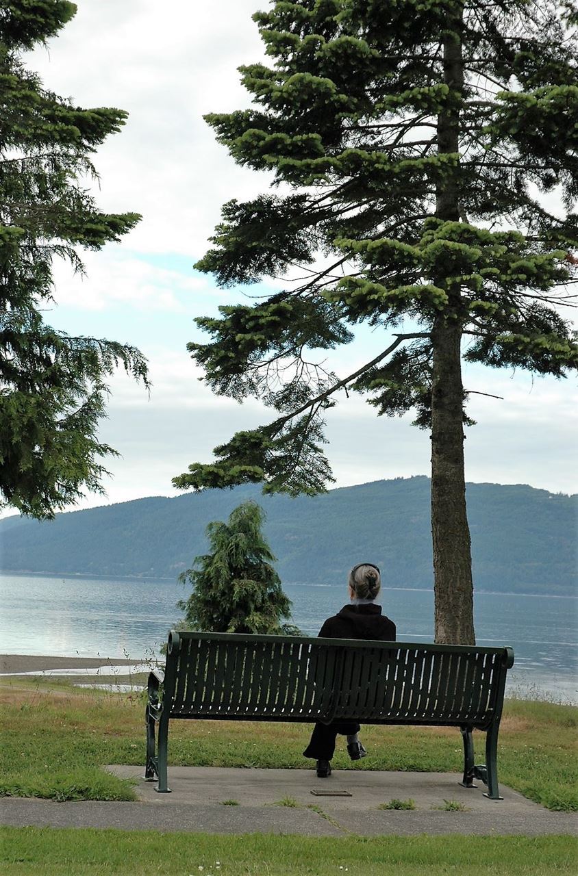 A person sitting on a bench that overlooks Samish bay, between two fir trees, on a cloudy day.