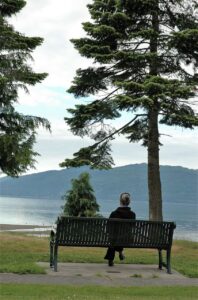 A person sitting on a bench overlooking the Salish Sea at Samish Island Campground