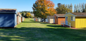 the cabins lined up in a row at samish island mindfulness meditation retreat location