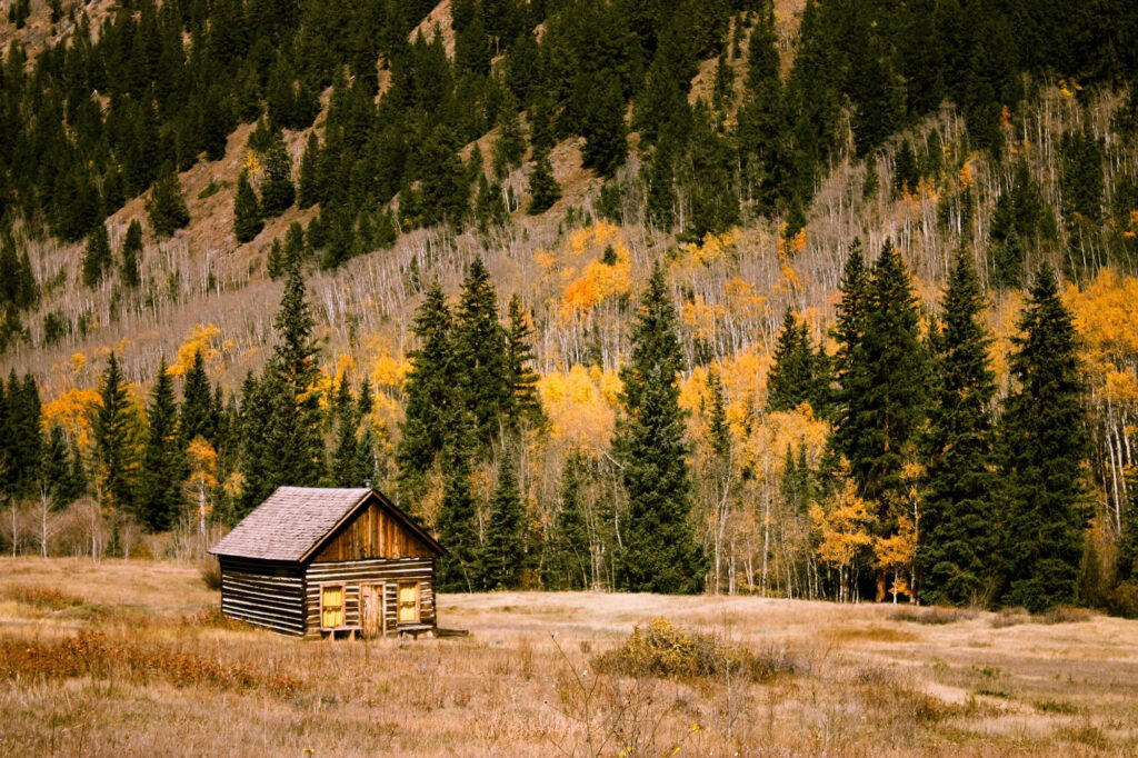 Log cabin with treed hillside in the background, some trees have yellow leaves