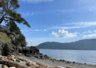 A rocky beach with driftwood and overhanging madrona trees, looking out at the eastsound bay and the mountainous island beyond.