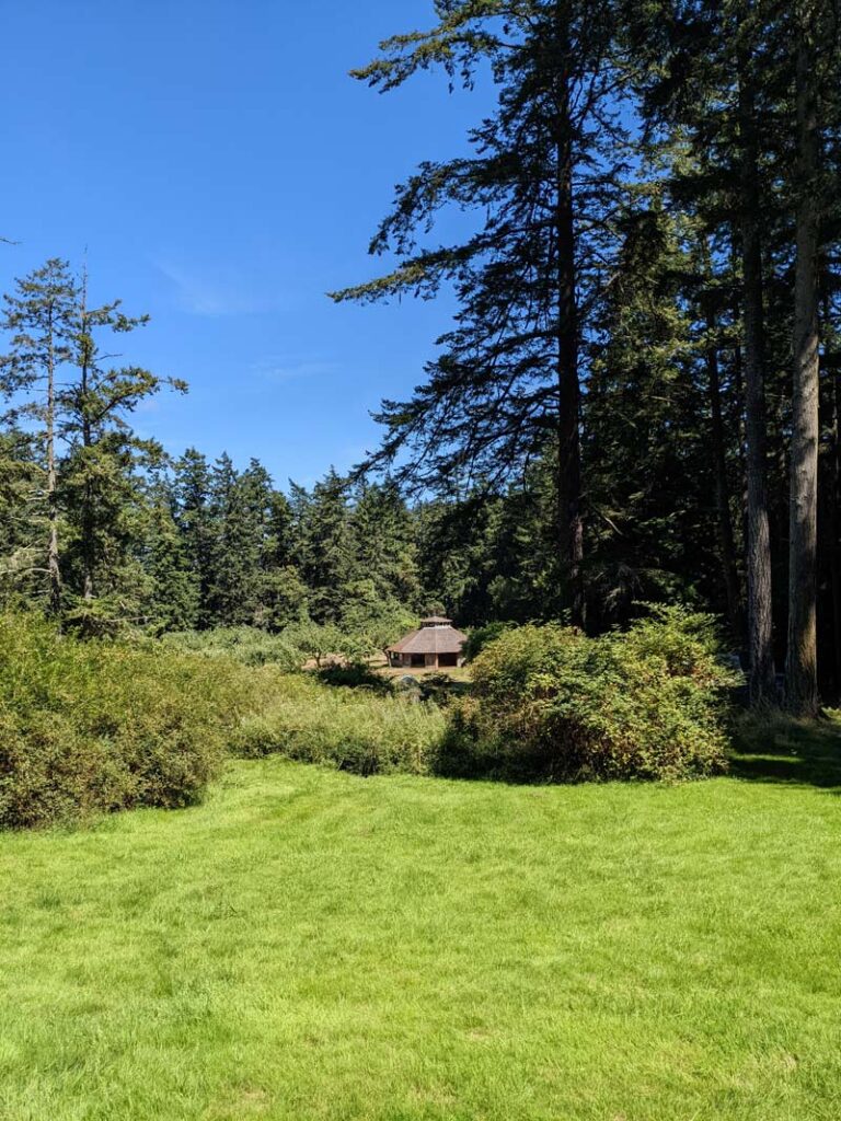 A grassy lawn surrounded by tall fir trees, with a small wooden pavilion in the distance and a blue sky above.