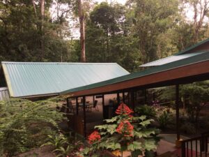 A view from above of a wooden walkway with a green metal roof in the costa rican rainforest.