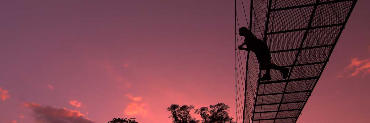 Looking up at the hanging bridge, we see the silhouette of a human, watching the incredibly purplish pink sky with a smattering of clouds at sunset.