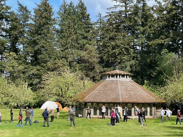 A photo of a large pavilion in an apple orchard, with dozens of people standing outside it practicing mindful movement in the sunshine. Pine trees in the background and a hint of blue sky.