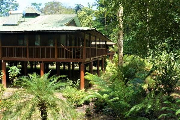 A wooden building on stilts in the Costa Rican rainforest; part of the facilities at Selva Verde Ecolodge and Retreat Center.