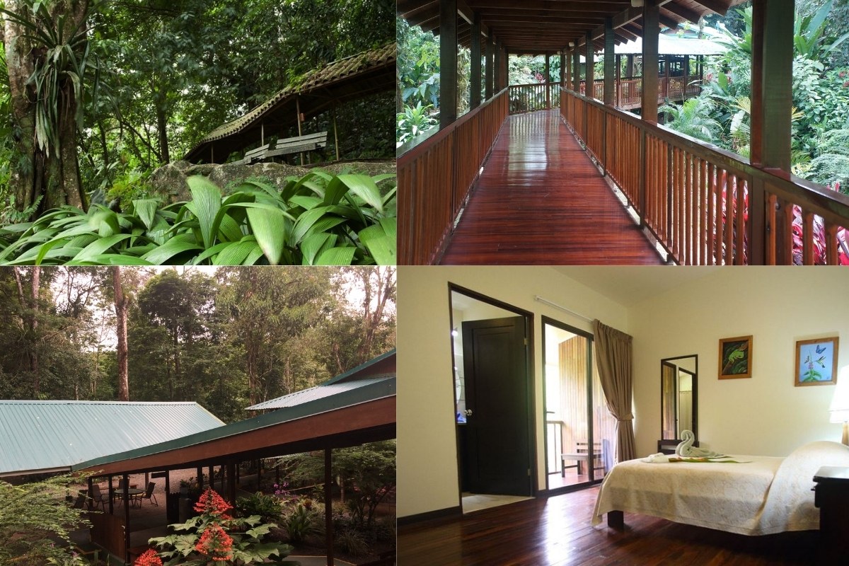The beautiful mahogany wood structures of the Selva Verde lodge, nestled within a lush tropical rainforest.