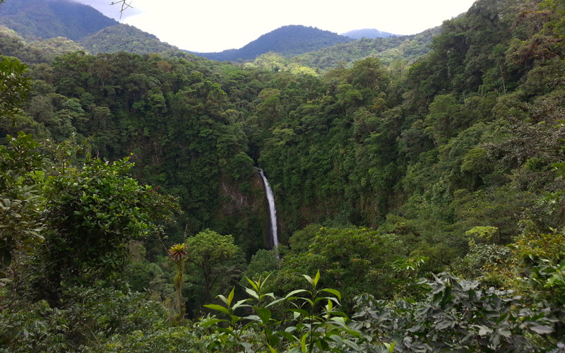 A waterfall cascading down from a lush forested hillside.