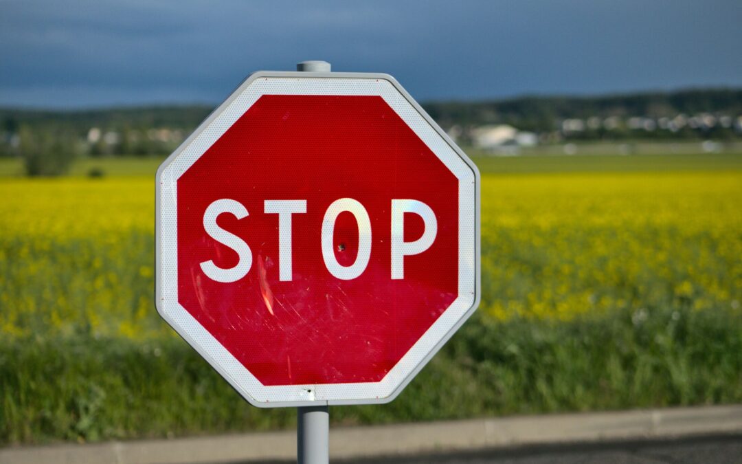 STOP! The Purposeful Pause, Part 1 ~ Tim Burnett