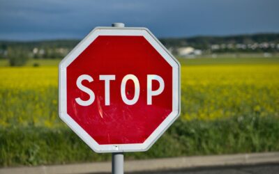 STOP! The Purposeful Pause, Part 1An article by Tim BurnettSeptember 2022