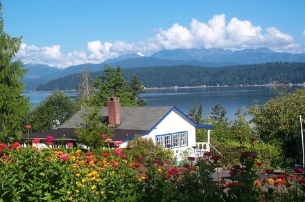 A bed of red, yellow and orange dahlia flowers, with a white cottage behind them, and a view of hood canal and a clear blue sky behind that. 