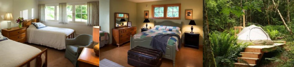 Three pictures, one of each of the types of housing at harmony hill. A tent on a camping platform in the woods, a bright room with twin beds and a cozy room with a queen bed and purple blanket.