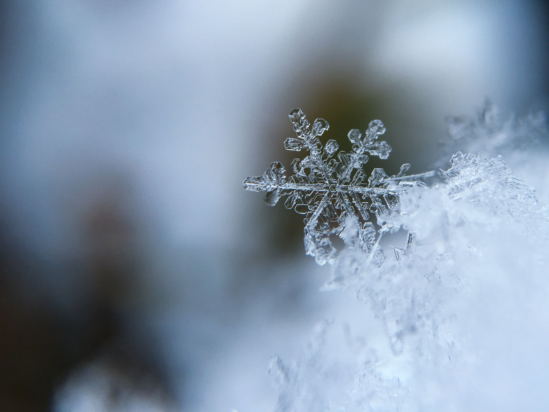 The Inner CriticAn article by Tim BurnettDecember 2022