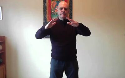 Mindful Movement with Qigong – PracticeTim Burnett - 22 minute practice video