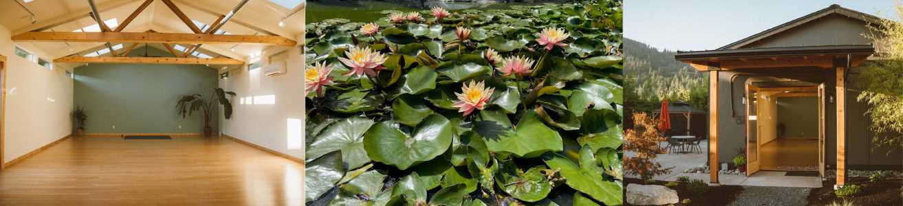 Three photos; the inside of the meditation hall; pink lotus blossoms among lily pads; the outside of the meditation hall at bow sanctuary. 