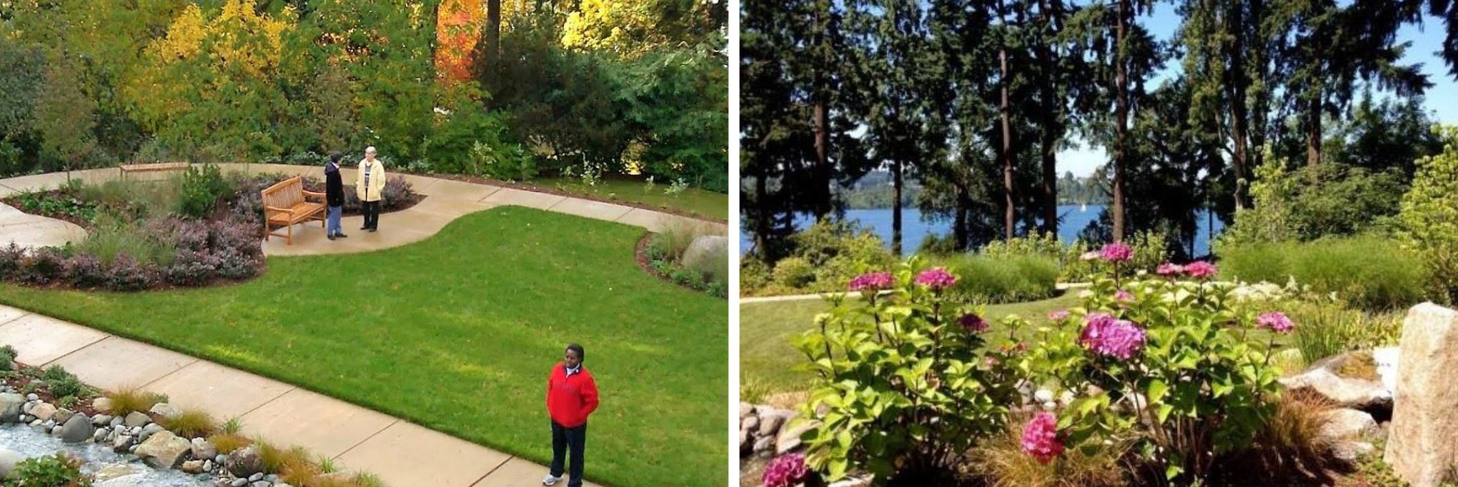 Two adjacent images - one of flowers with pine trees behind them, another an aerial view of people walking the paths that wind through the grassy gardens of st. mary's peace and spirituality center.