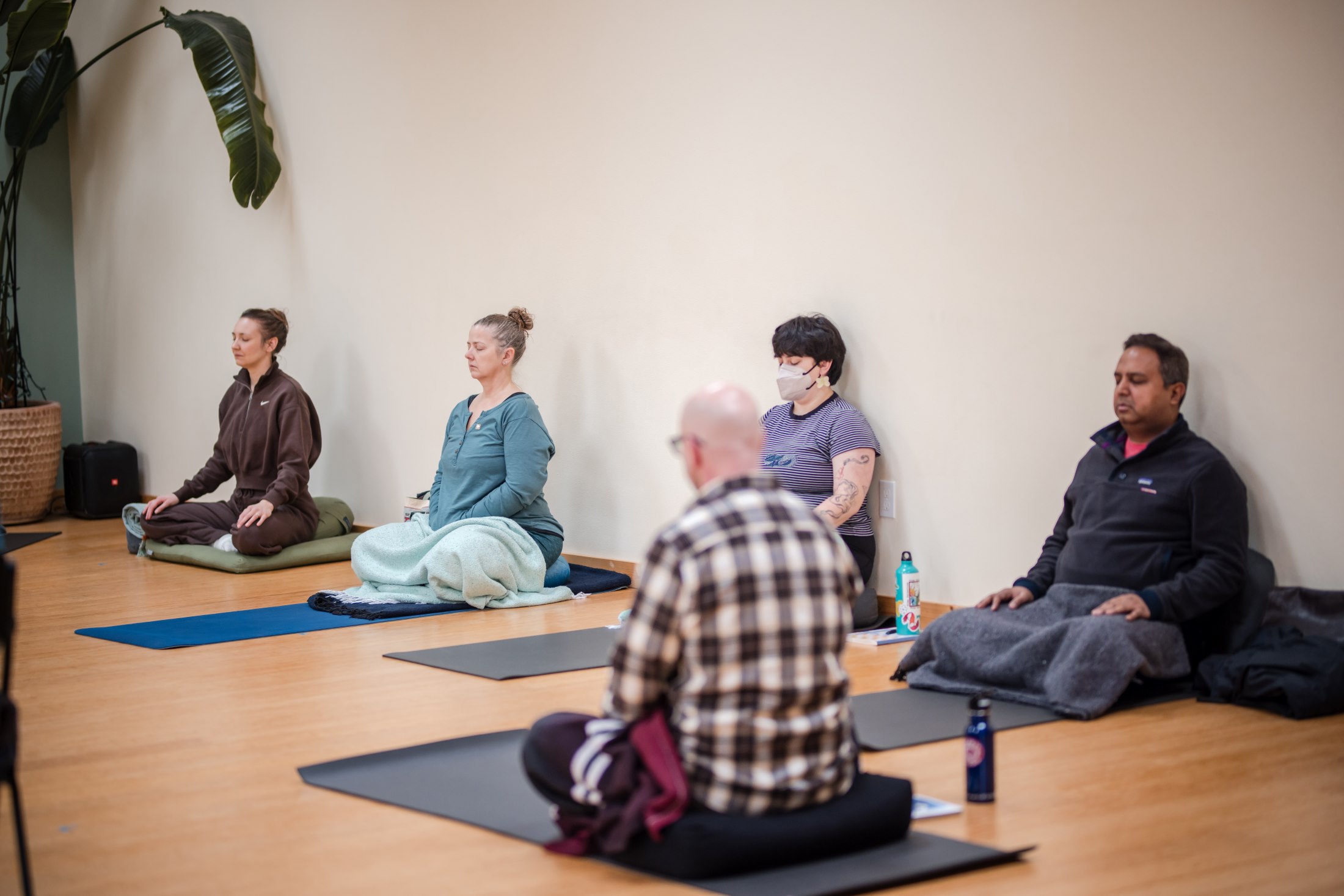 Five people sitting on yoga mats with their eyes closed in a brightly lit room with a tropical plant in the corner and light wood floors.