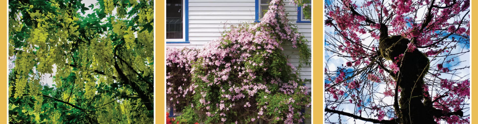 House with trees Three images: a warm cozy bedroom with two beds with pink blankets; wooden cabins in a small stand of trees; another warmly lit interior bedroom.